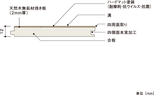 断面図 | 朝日ウッドテック 非住宅フローリング MESSAGE(メッセージ)
