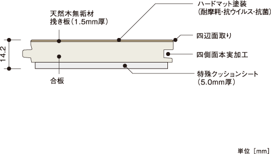 断面図 | 朝日ウッドテック 非住宅フローリング MESSAGE(メッセージ)