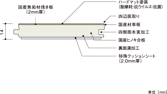 断面図 | 朝日ウッドテック 非住宅フローリング MESSAGE(メッセージ)
